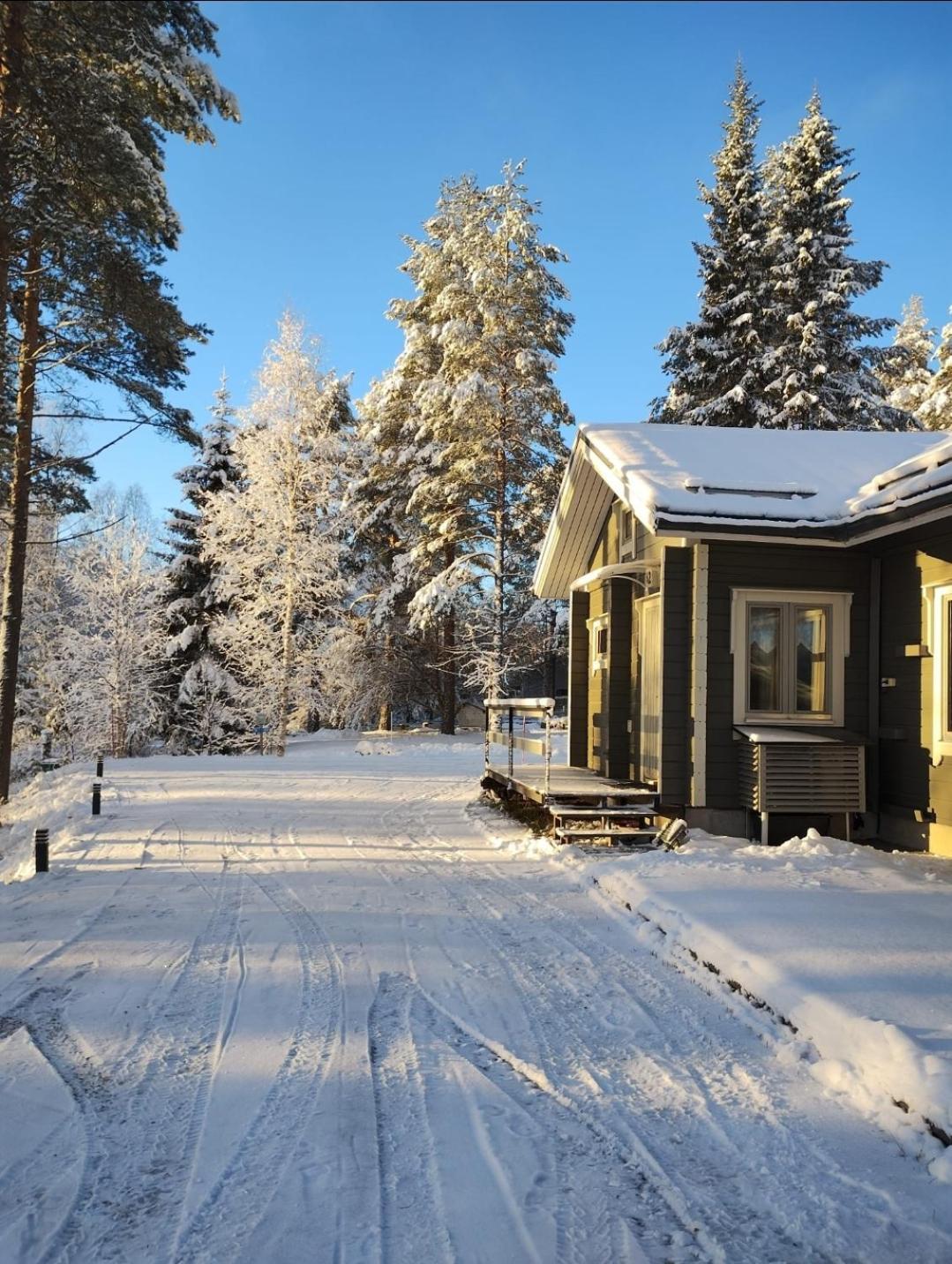 Villa Aleksi With Sauna Rovaniemi Exterior foto